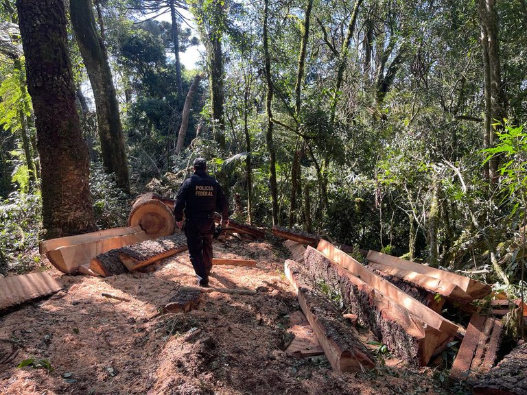 WhatsApp Image 2023-08-29 at 12.56.28.jpeg