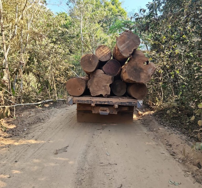 WhatsApp Image 2023-08-10 at 18.03.09.jpeg