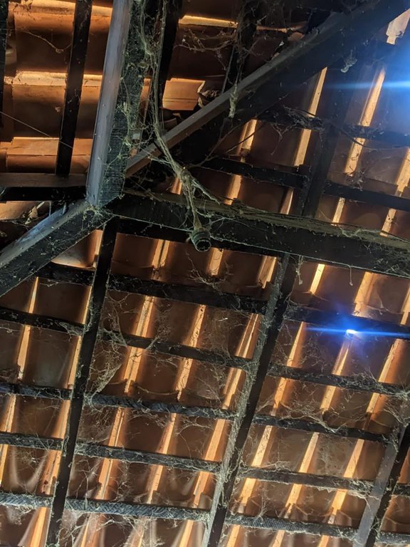 WhatsApp Image 2023-09-12 at 14.51.39 (1).jpeg