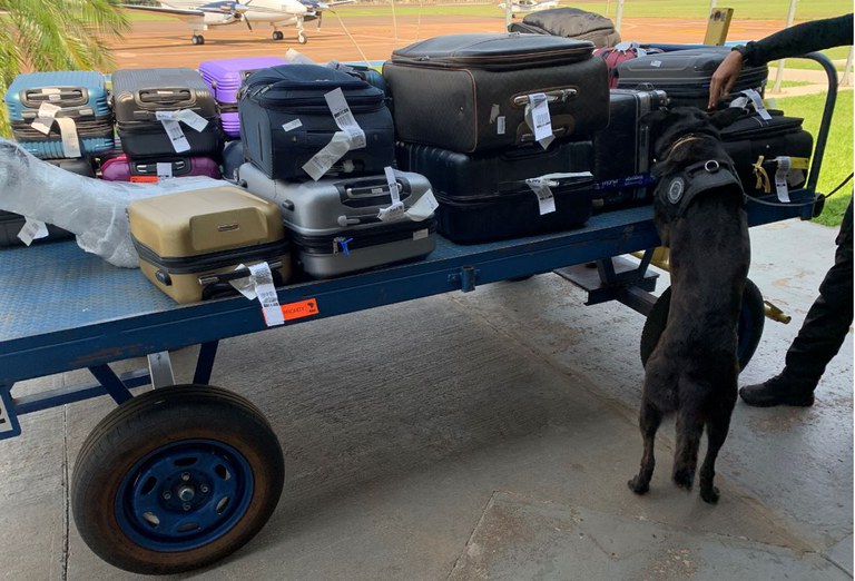 WhatsApp Image 2023-09-30 at 11.13.22 (1).jpeg