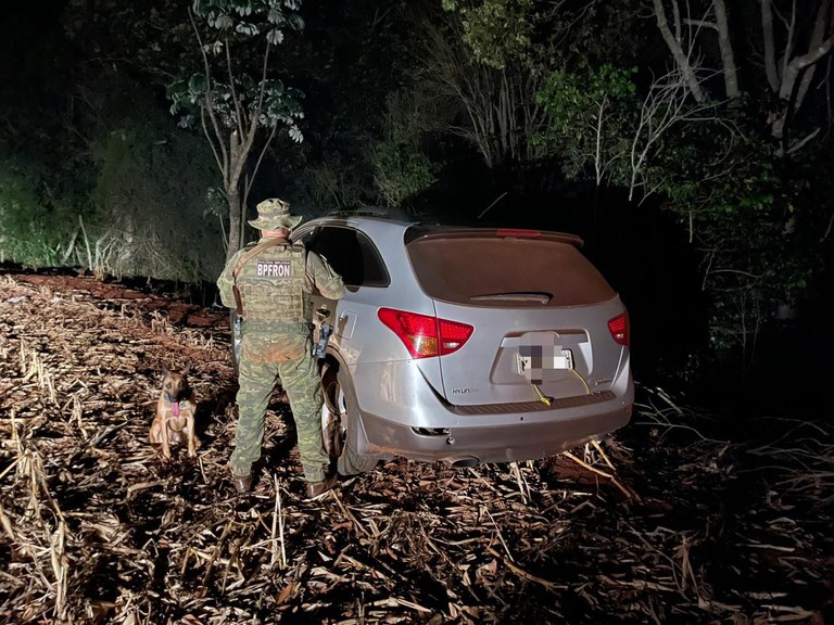 6cab2e1b-5055-4459-8ca7-5248f3b051a1.jfif