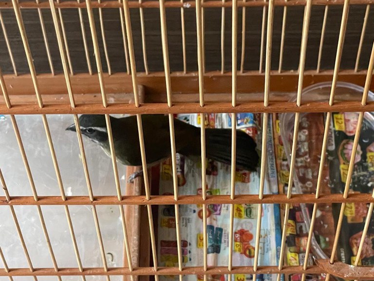 c21f0e8b-da84-4a55-84b0-92c24c79ebc3.jfif