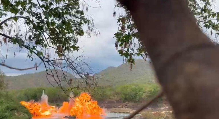 WhatsApp Image 2023-10-27 at 14.56.13.jpeg