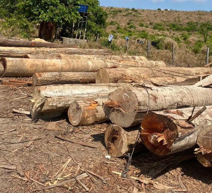 WhatsApp Image 2023-10-27 at 16.25.17 (1).jpeg