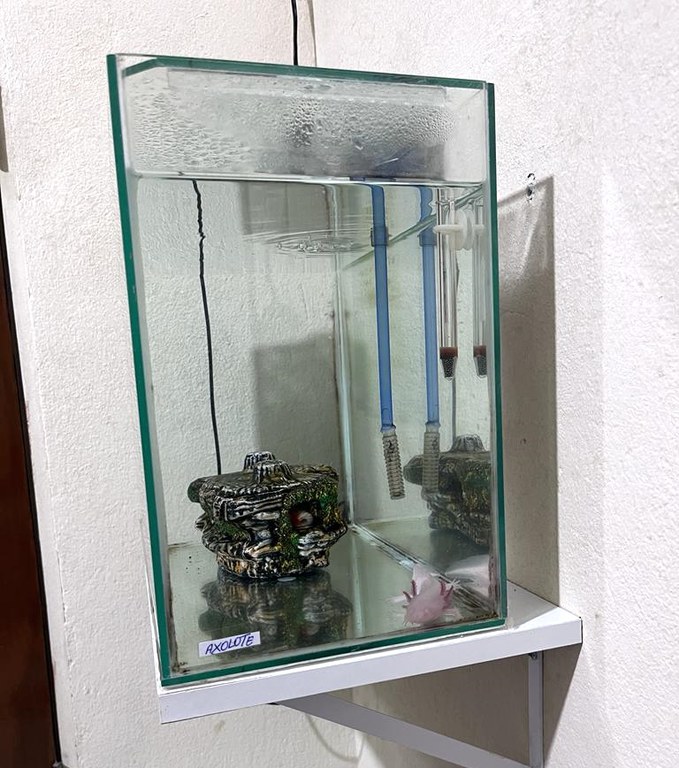 WhatsApp Image 2023-10-31 at 16.40.25.jpeg