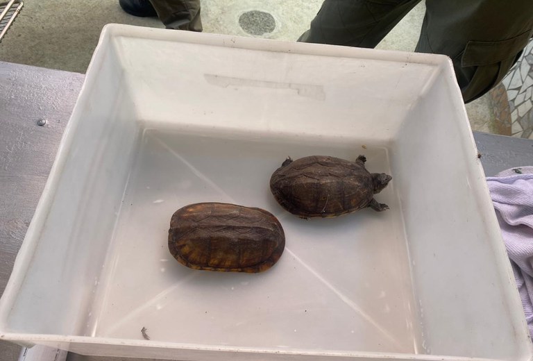 WhatsApp Image 2023-10-31 at 16.40.26.jpeg