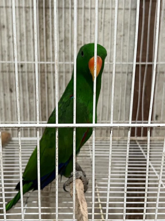 WhatsApp Image 2023-10-25 at 14.54.57 (1).jpeg