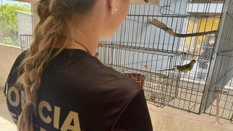 WhatsApp Image 2023-10-25 at 14.54.57.jpeg