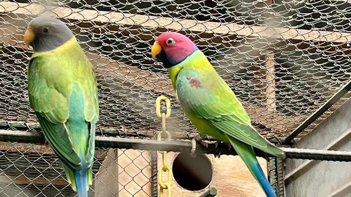 WhatsApp Image 2023-10-25 at 14.54.58.jpeg