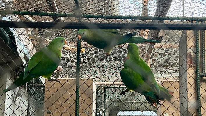 WhatsApp Image 2023-10-25 at 14.54.59 (1).jpeg