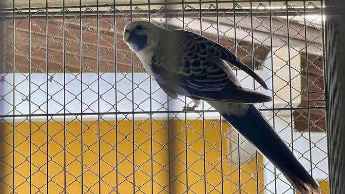 WhatsApp Image 2023-10-25 at 14.54.59 (2).jpeg