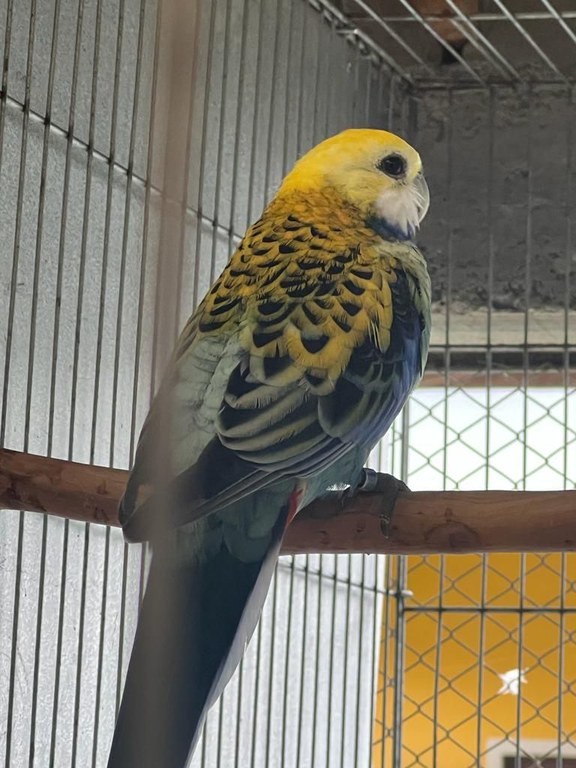 WhatsApp Image 2023-10-25 at 14.54.59.jpeg