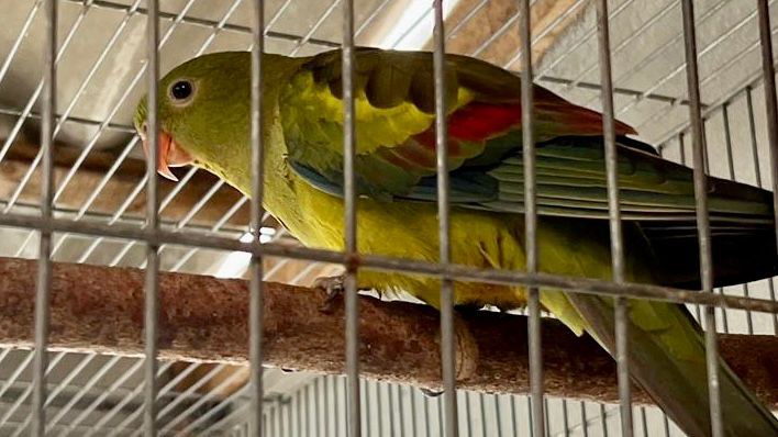 WhatsApp Image 2023-10-25 at 14.55.00.jpeg