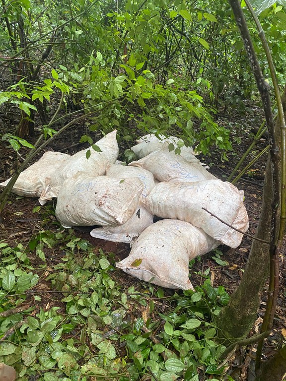 WhatsApp Image 2023-11-24 at 14.20.50 (1).jpeg