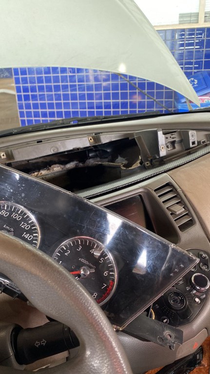 WhatsApp Image 2023-11-15 at 19.20.24 (1).jpeg