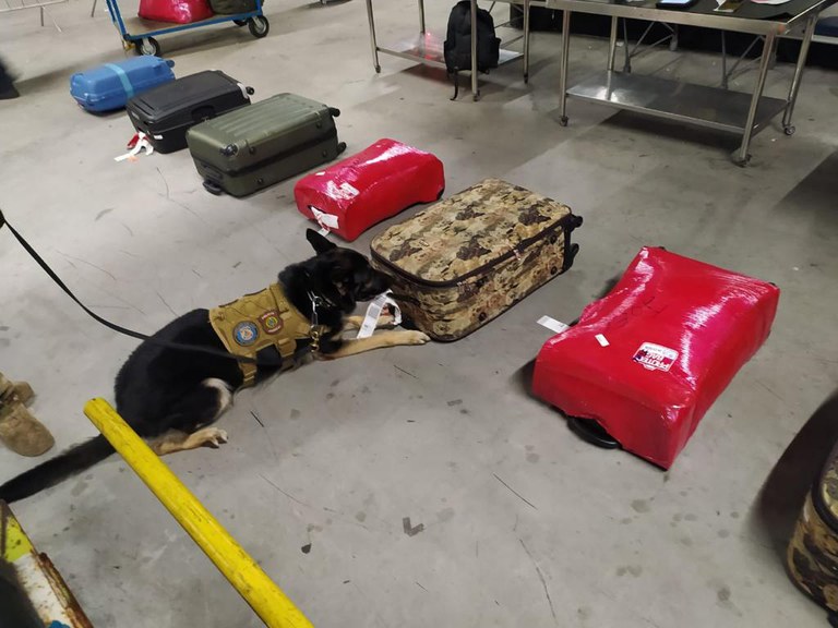 WhatsApp Image 2023-11-30 at 08.50.54.jpeg