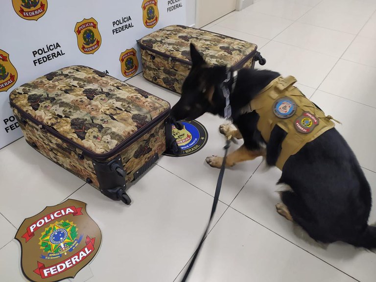 WhatsApp Image 2023-11-30 at 08.50.55.jpeg