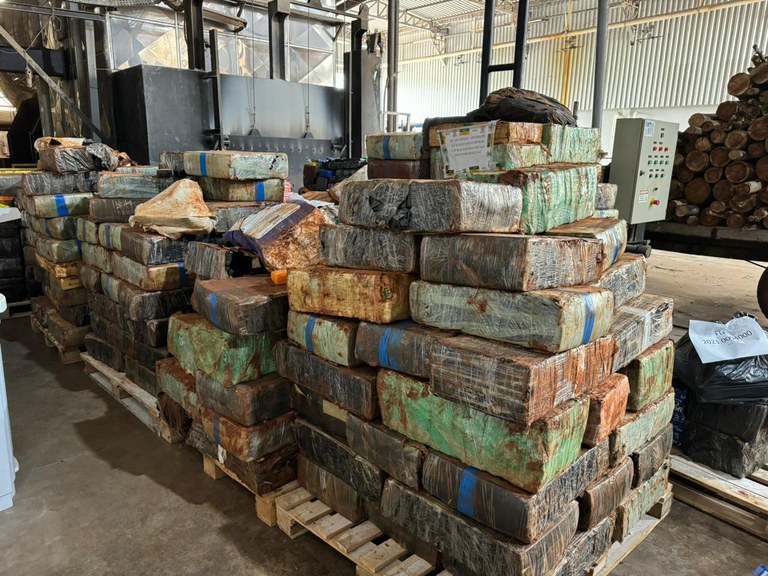 WhatsApp Image 2023-11-17 at 15.44.23.jpeg