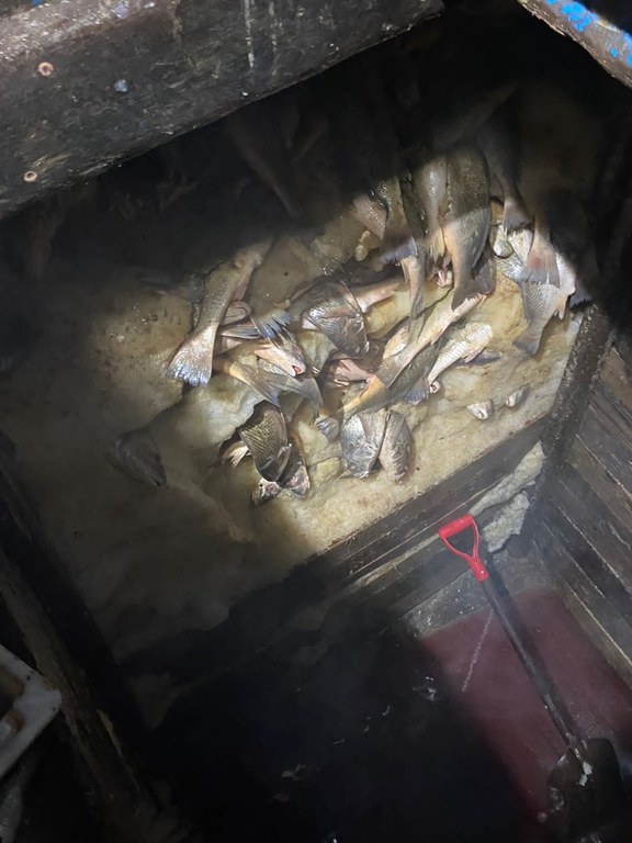 WhatsApp Image 2023-11-21 at 18.56.56.jpeg