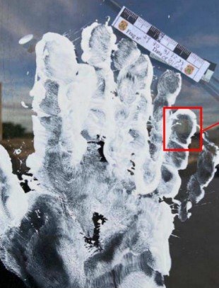 WhatsApp Image 2023-11-09 at 12.00.06.jpeg