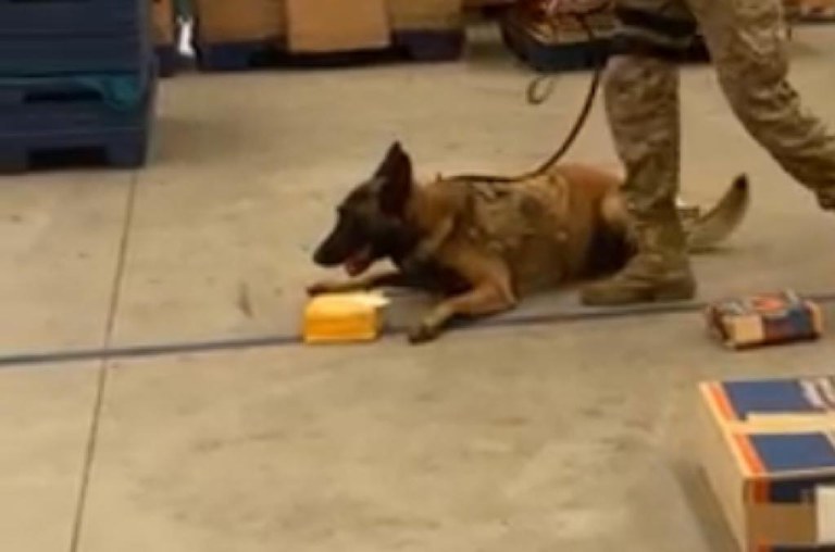 WhatsApp Image 2023-12-26 at 15.34.09 (2).jpeg