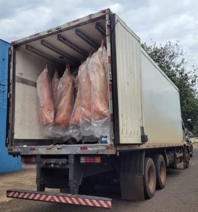 WhatsApp Image 2023-12-12 at 16.48.53.jpeg