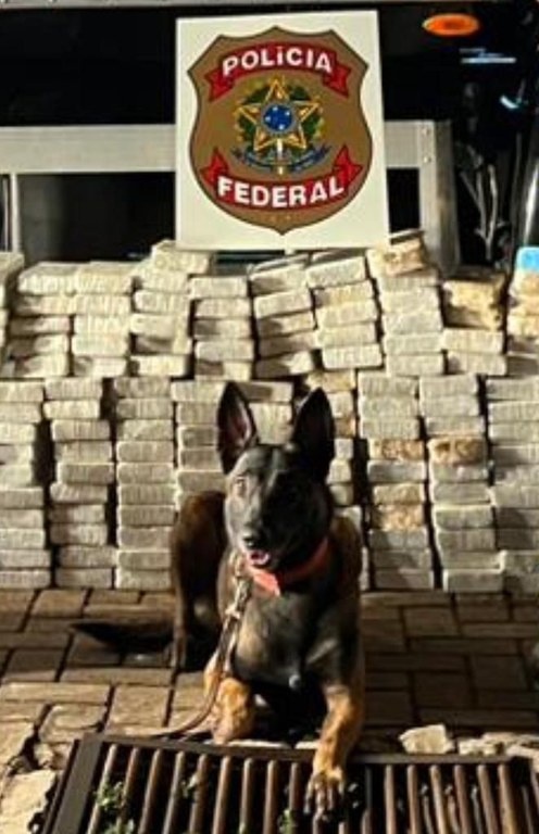 WhatsApp Image 2023-12-14 at 10.09.24.jpeg