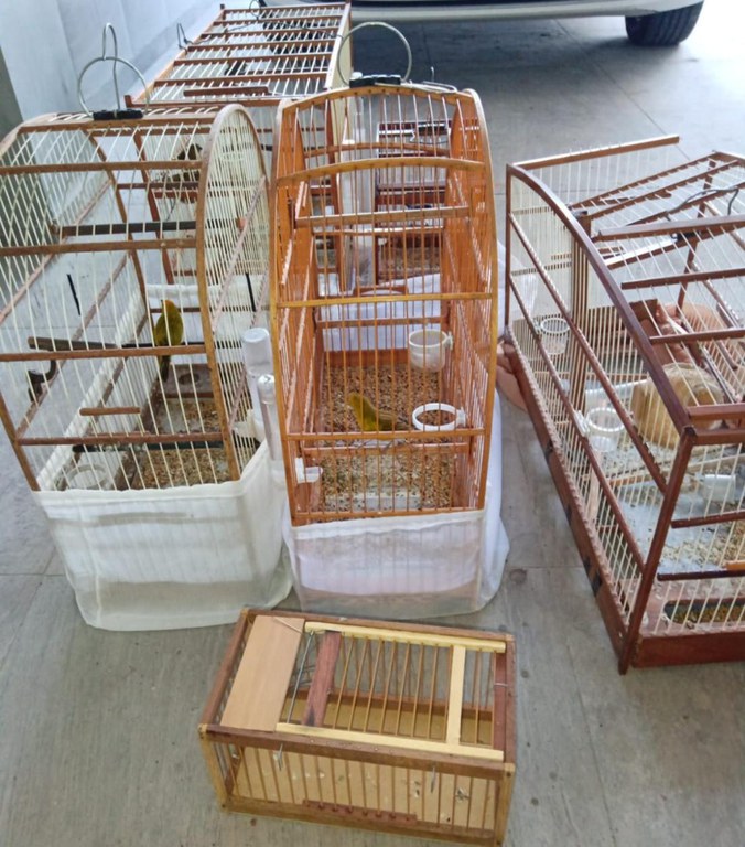 WhatsApp Image 2024-01-11 at 15.50.46 (1).jpeg