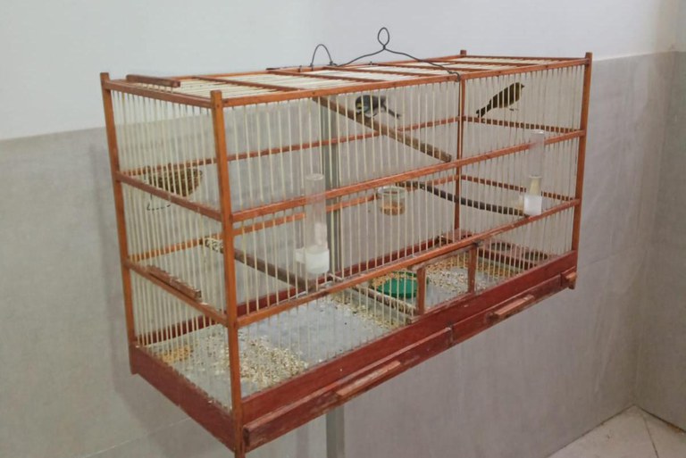 WhatsApp Image 2024-01-11 at 15.50.46.jpeg