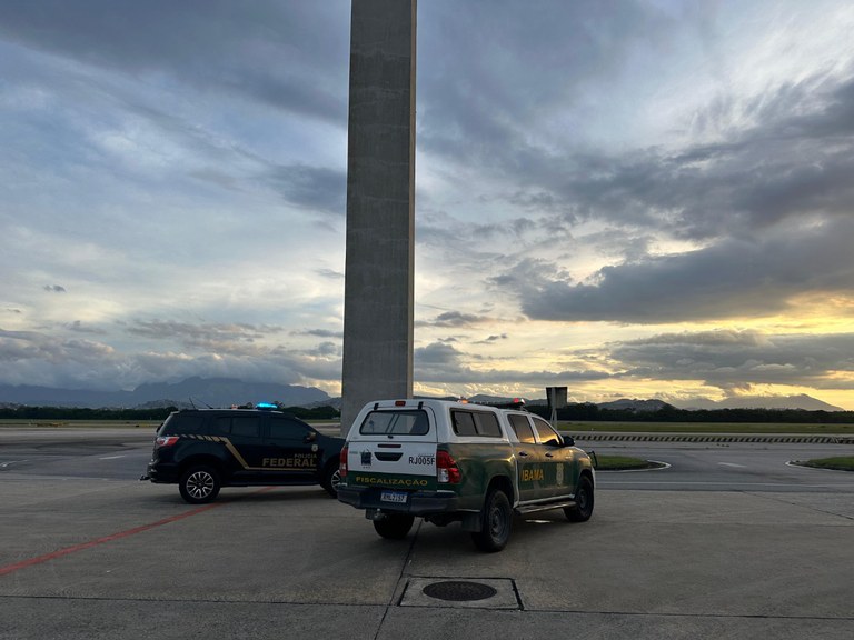 fd4135ef-bf7b-4132-80c6-138544b2fcab.jfif