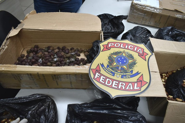 WhatsApp Image 2024-02-01 at 05.51.32 (1).jpeg