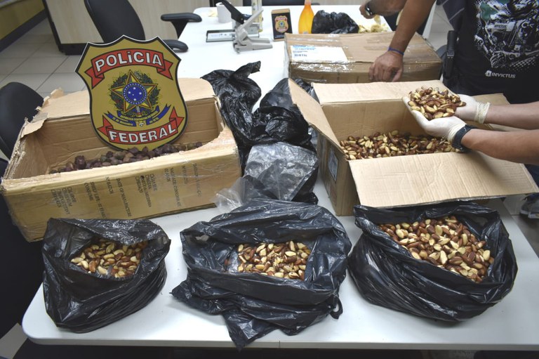 WhatsApp Image 2024-02-01 at 05.51.32.jpeg