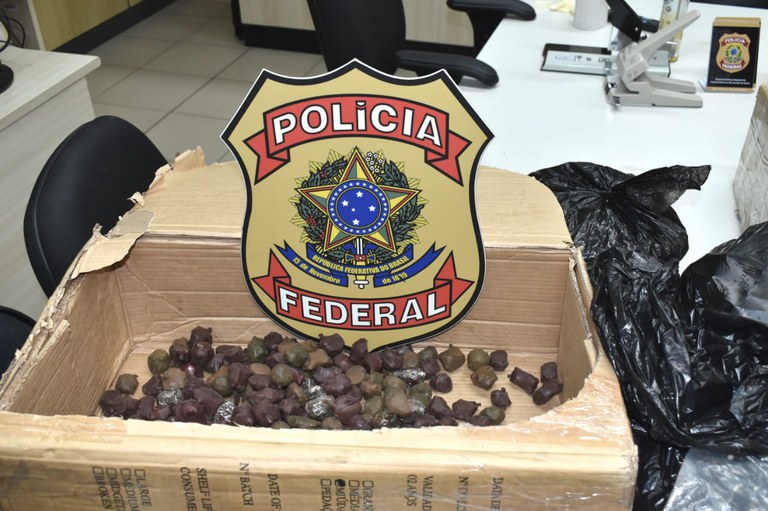 WhatsApp Image 2024-02-01 at 05.51.33.jpeg