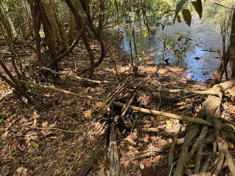 WhatsApp Image 2024-02-21 at 19.39.01 (1).jpeg