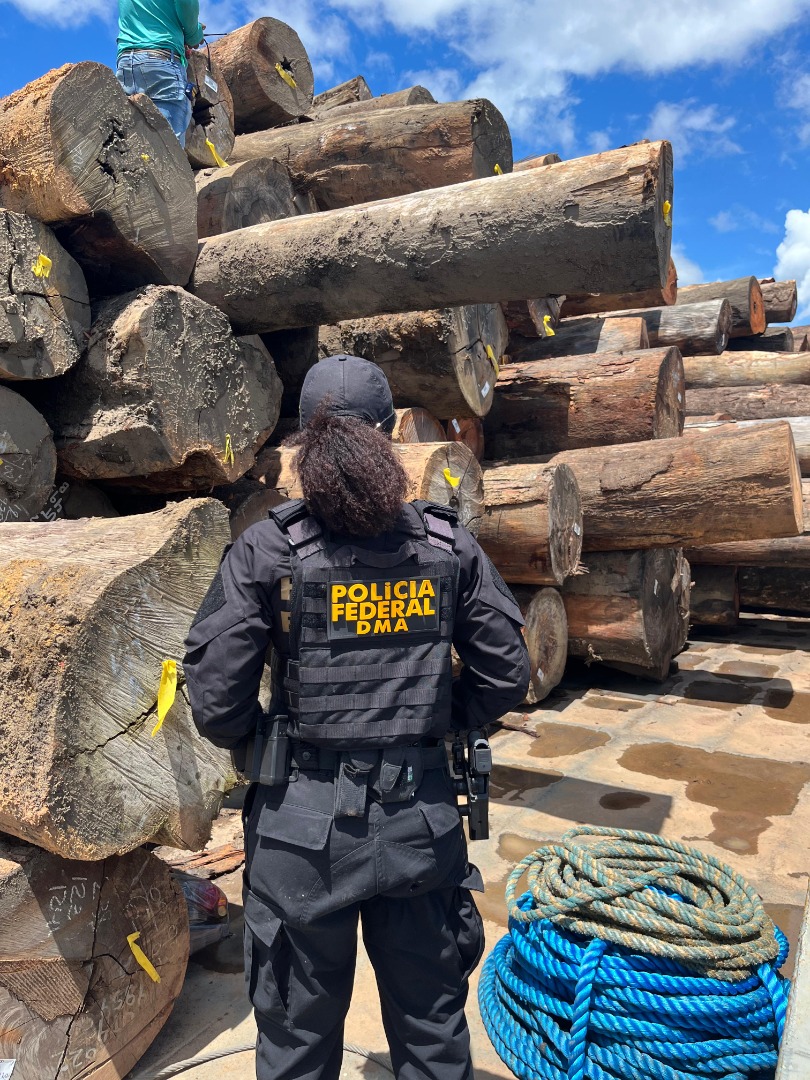 PF deflagra a Opera&ccedil;&atilde;o Mamuru contra o desmatamento ilegal no Amazonas &mdash; Pol&iacute;cia  Federal