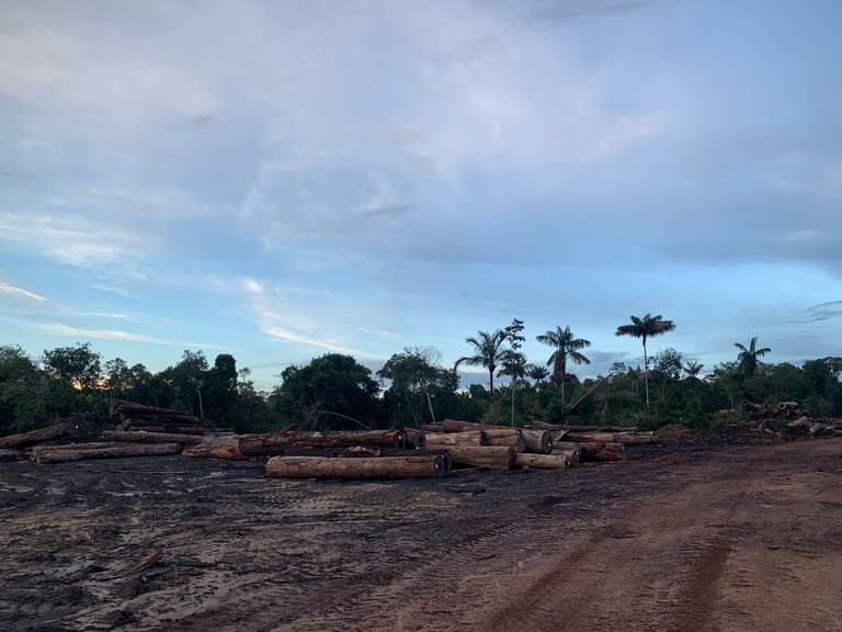 WhatsApp Image 2024-03-16 at 13.42.57.jpeg