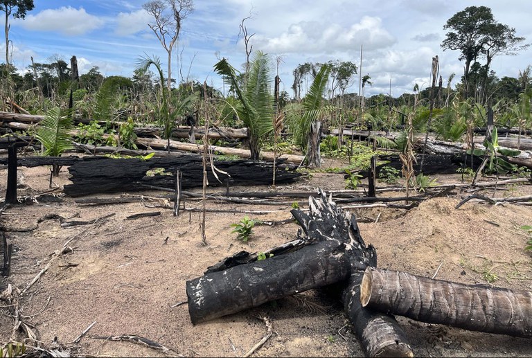 WhatsApp Image 2024-03-22 at 8.39.57 PM.jpeg