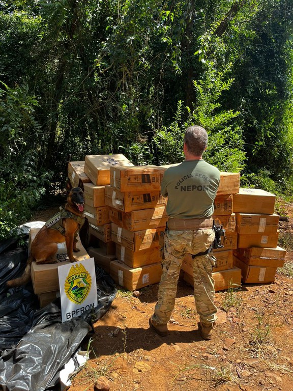 WhatsApp Image 2024-03-27 at 11.37.50.jpeg