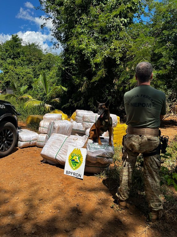 WhatsApp Image 2024-03-27 at 11.37.51 (1).jpeg