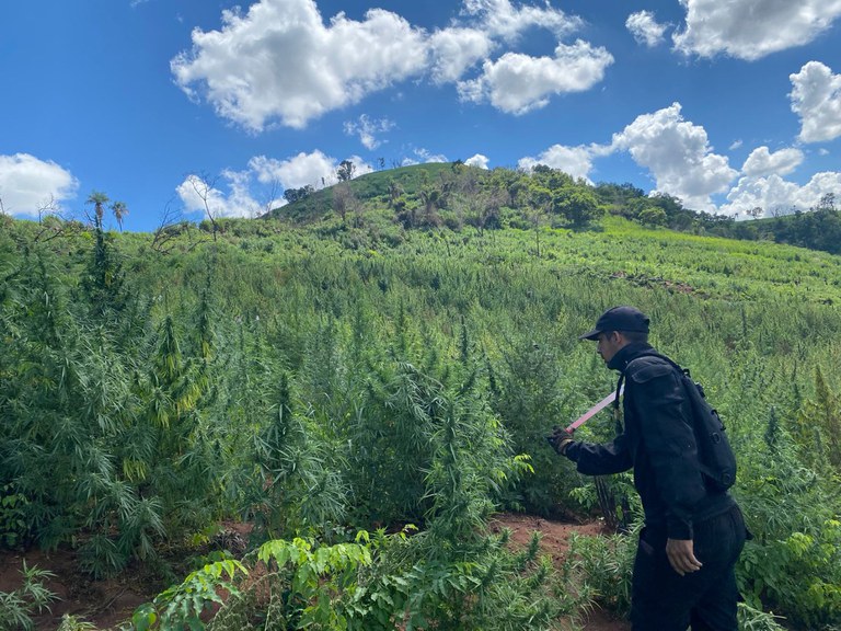 WhatsApp Image 2024-03-15 at 07.49.06.jpeg