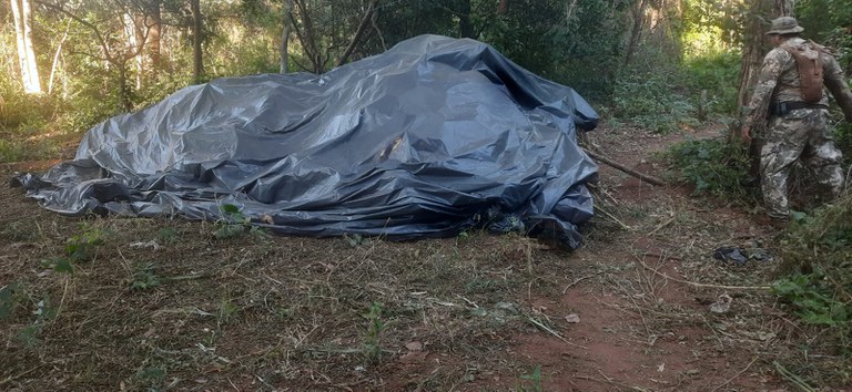 WhatsApp Image 2024-03-15 at 07.49.07.jpeg