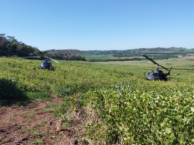 WhatsApp Image 2024-03-15 at 07.49.08.jpeg