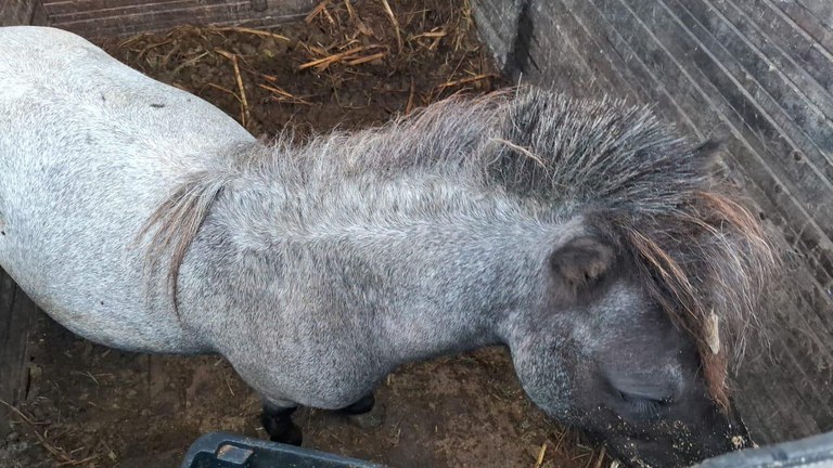 WhatsApp Image 2024-03-12 at 09.36.00.jpeg