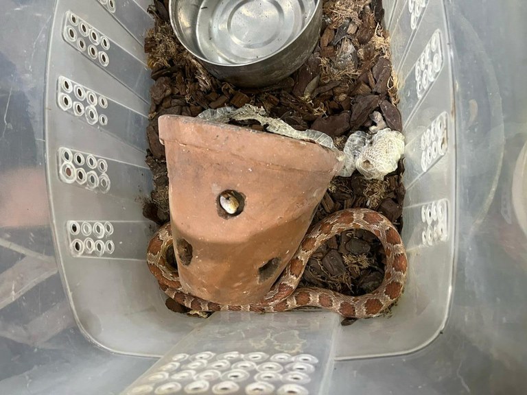 WhatsApp Image 2024-03-12 at 09.54.06.jpeg