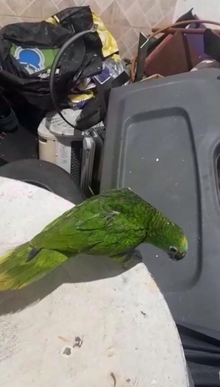 WhatsApp Image 2024-03-12 at 11.21.10.jpeg