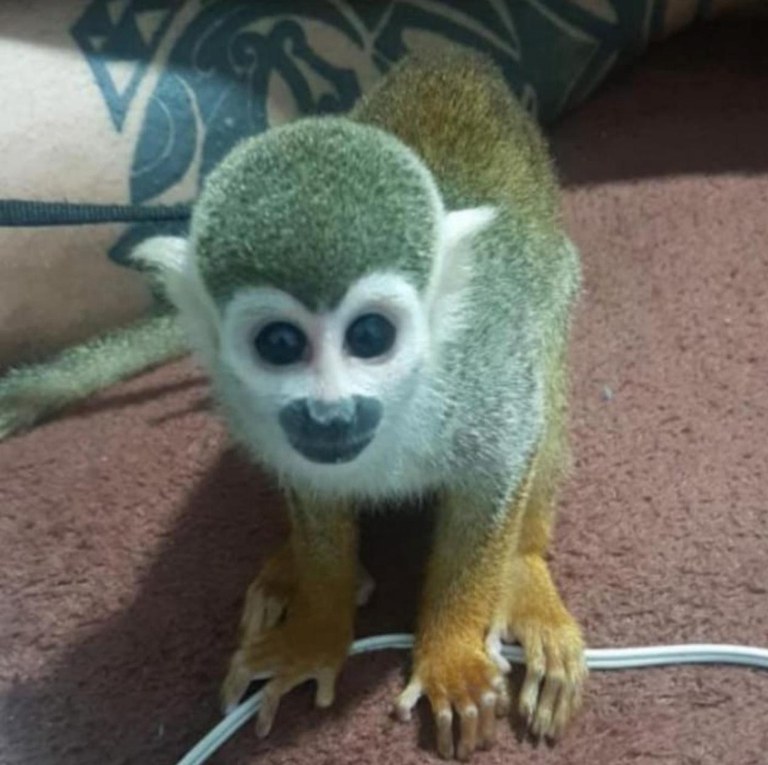 WhatsApp Image 2024-03-12 at 11.21.11.jpeg