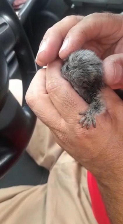 WhatsApp Image 2024-03-12 at 11.21.12 (1).jpeg