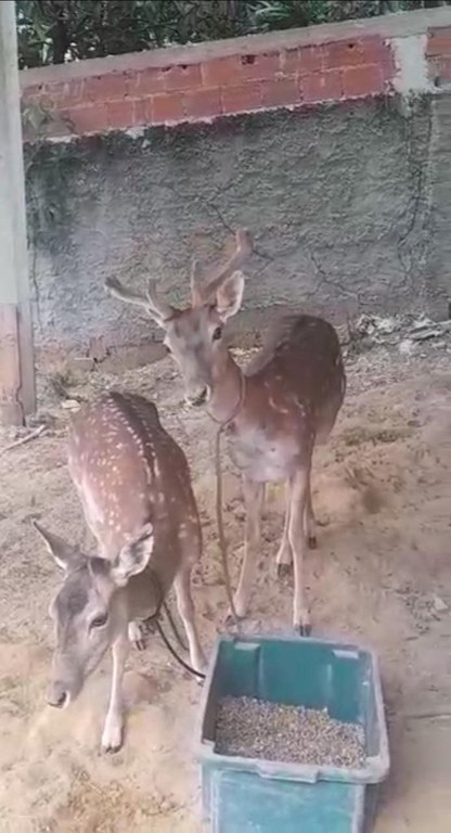 WhatsApp Image 2024-03-12 at 11.21.12.jpeg