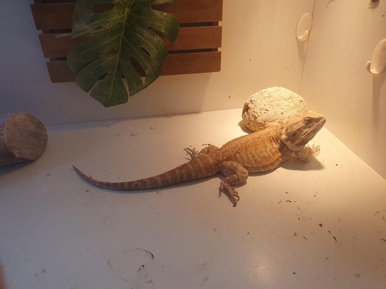 WhatsApp Image 2024-03-20 at 08.47.51.jpeg