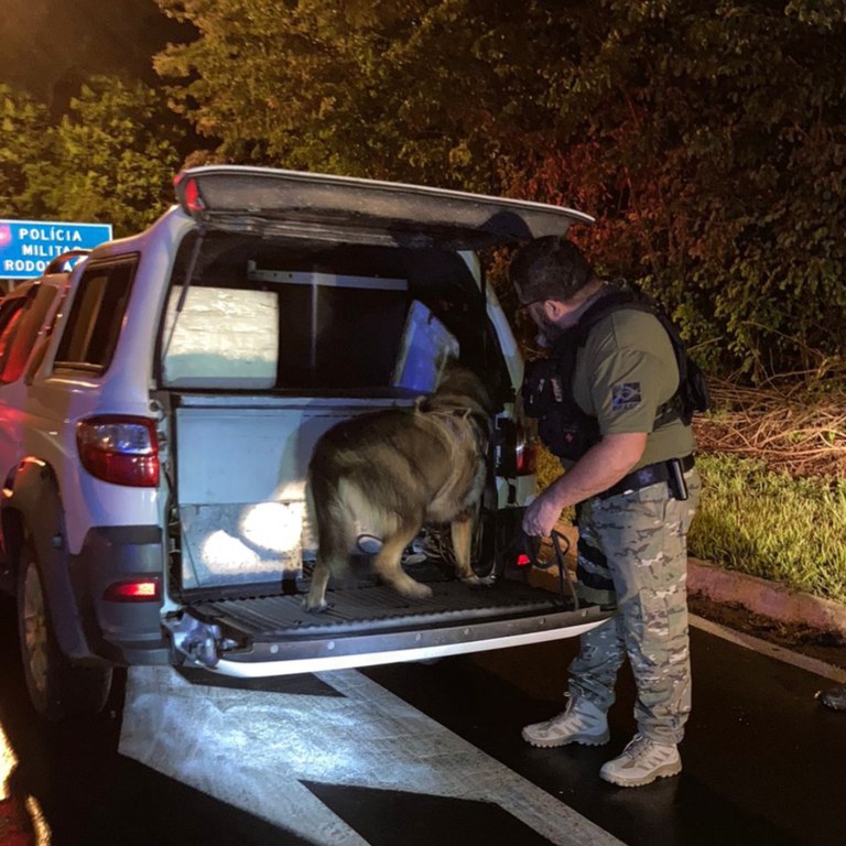 WhatsApp Image 2024-03-31 at 07.54.33.jpeg